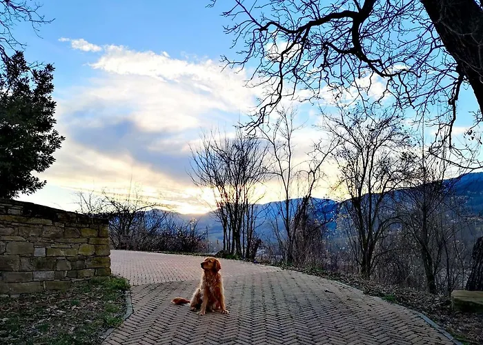 Il Salice * Tizzano Val Parma