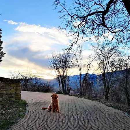 Il Salice * Tizzano Val Parma